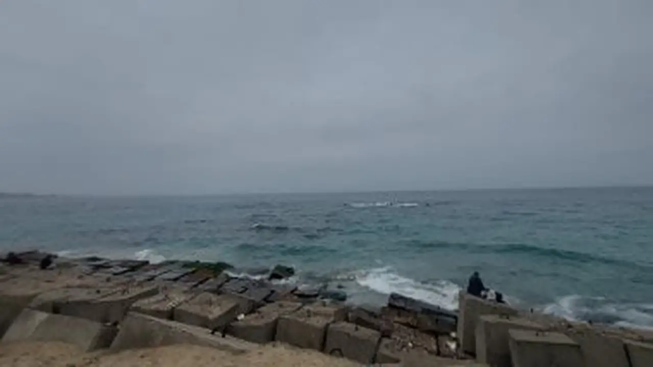 الحرارة 11 درجة.. توقعات طقس القاهرة والمحافظات غداً وتنبيه من ظاهرة صباحية تكررت